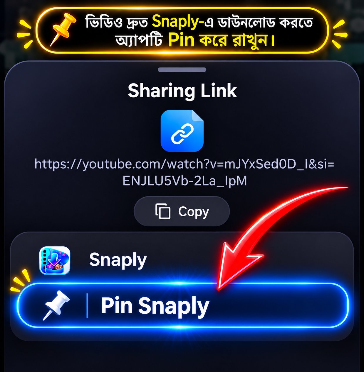 Pin Snaply